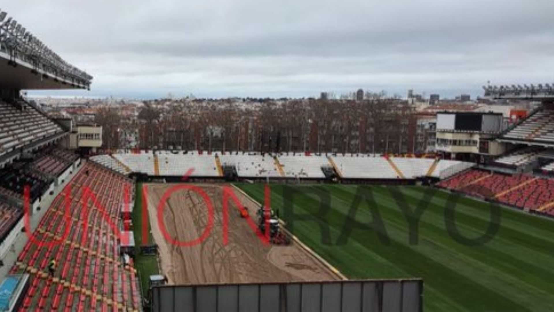 El Rayo cambia el césped de Vallecas
